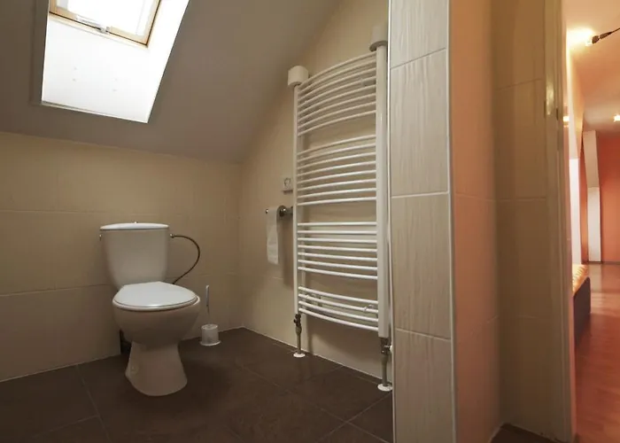 Otel Romaine Sahy